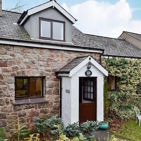 Oakleigh Cottage Llangelynin  Zewnętrze zdjęcie